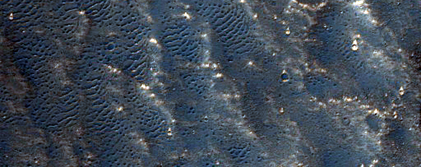 Sample Northwest Flank of Elysium Mons
