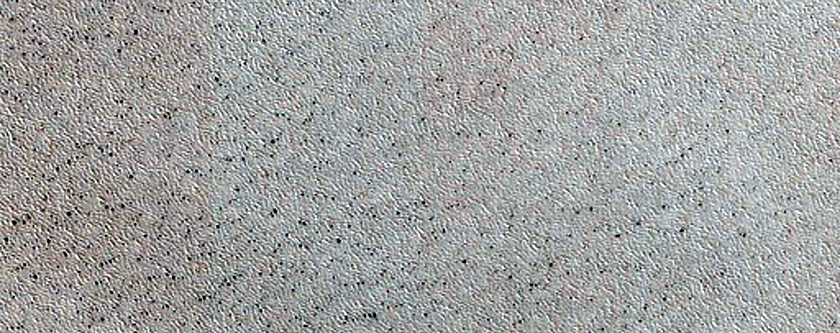 North Polar Cap
