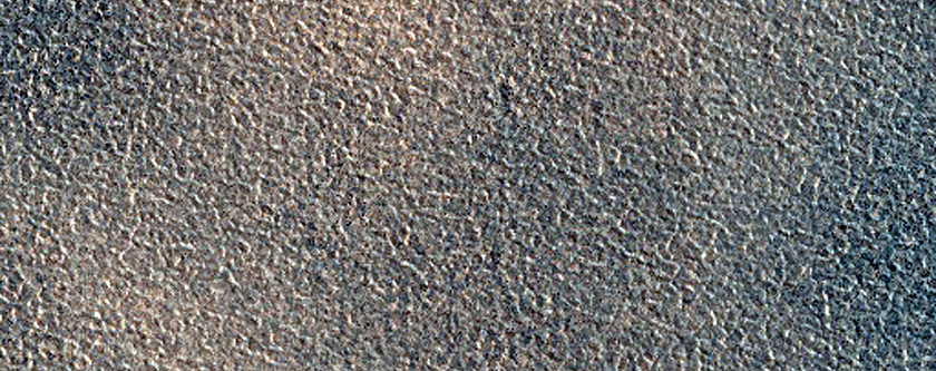 Northern Plains
