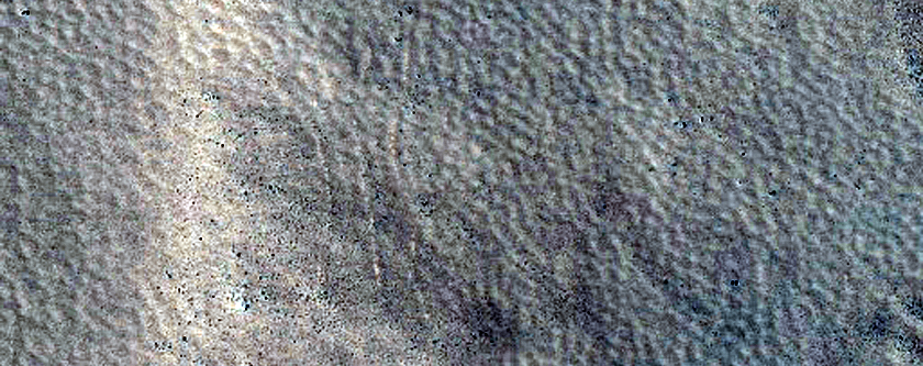 Terrain Sample
