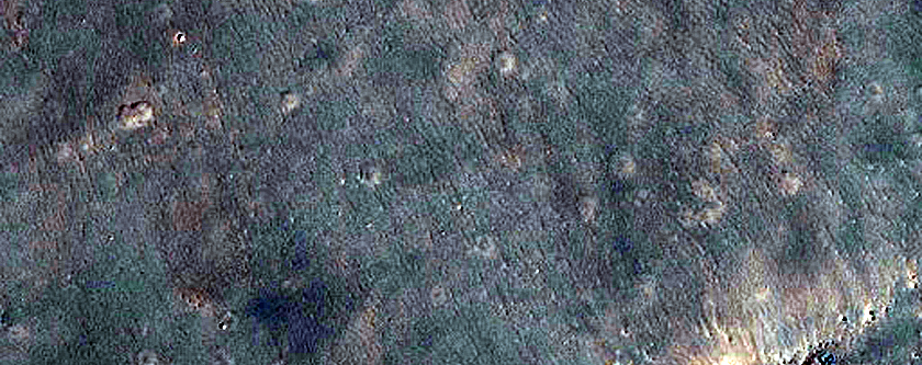 Daedalia Planum
