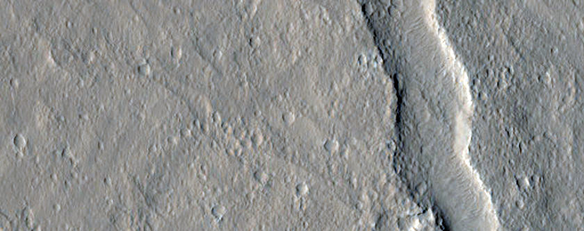 Lava Channel in Eastern Amazonis Planitia
