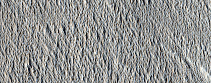 Terrain Sample
