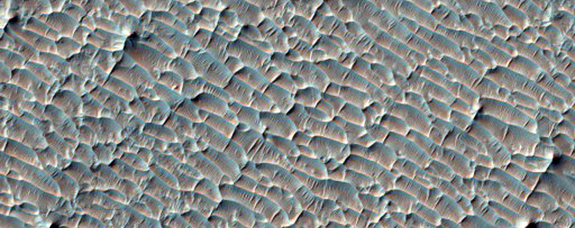 ster om Hale-kratern finns ett hav av vackra sanddyner