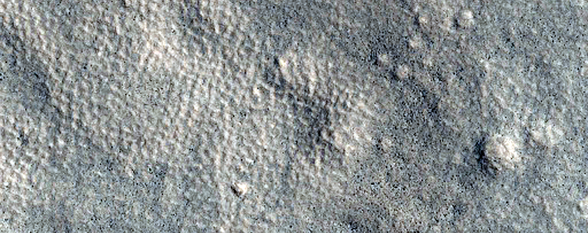 Terrain Sample
