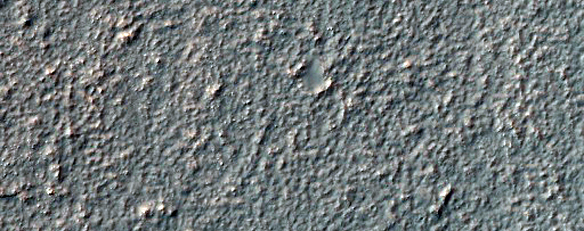 Mid-Latitude Terrain Sample