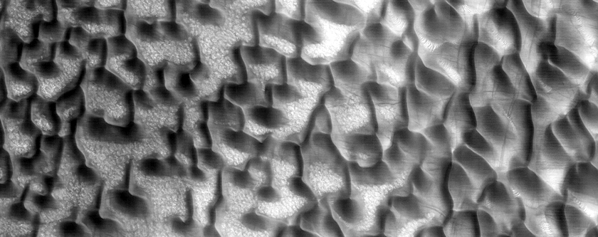 North Polar Dunes with Variable Packing
