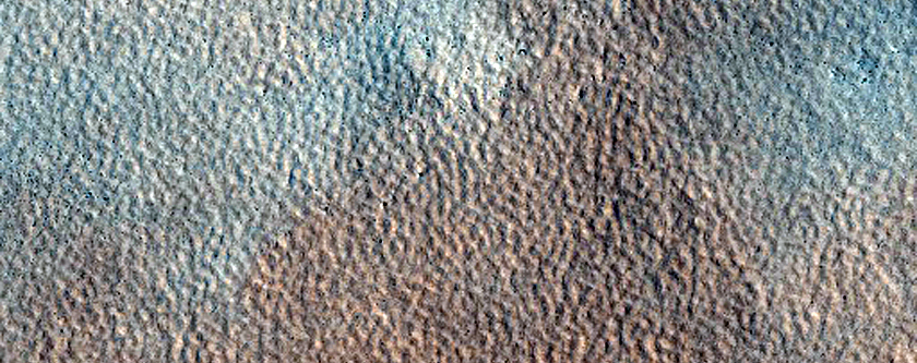 Terrain Sample

