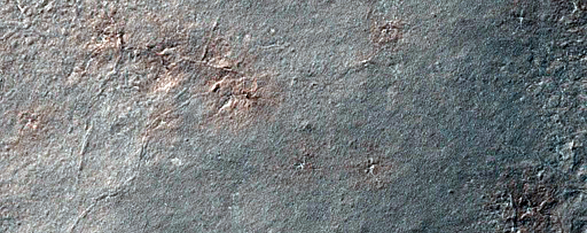 Spiders Not on South Polar Layered Deposits

