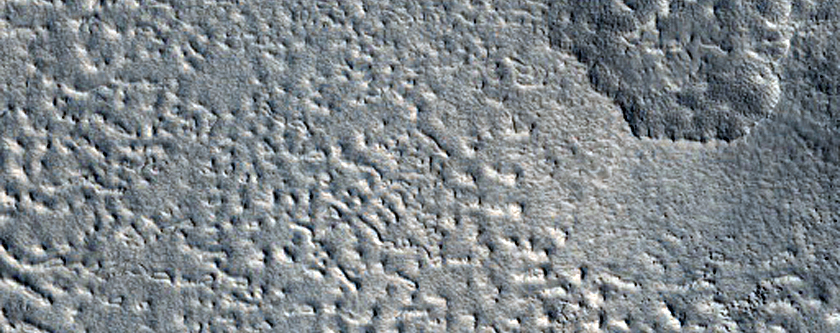 Utopia Planitia Complex Surface Texture
