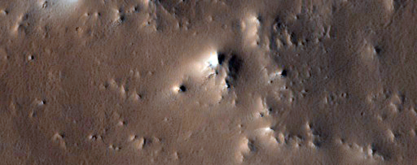 Crater Rim and Floor
