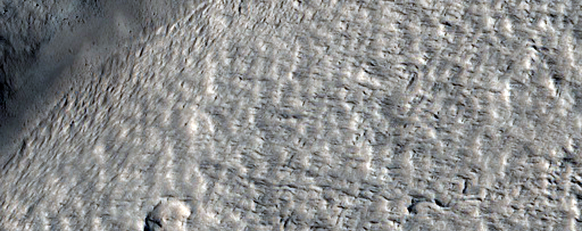 Catena on Alba Mons
