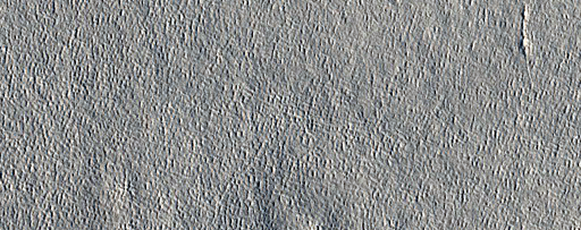 Arcadia Planitia
