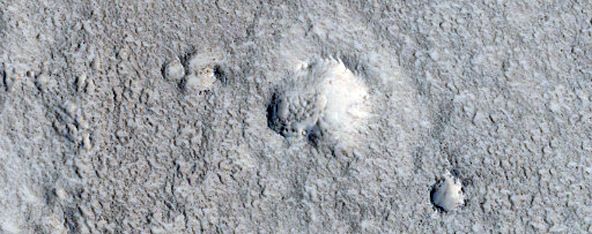 Mesas and Craters in Utopia Planitia
