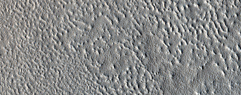 Arcadia Planitia
