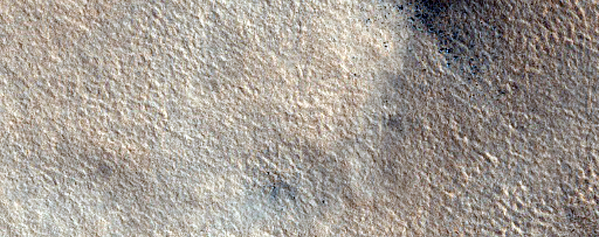 Northern Plains Terrain
