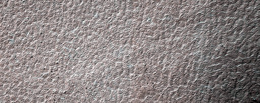 Terrain Sample
