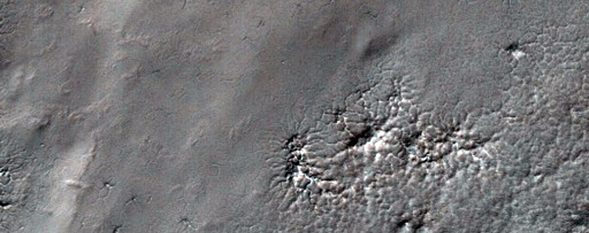 Evolution of Spider Terrain
