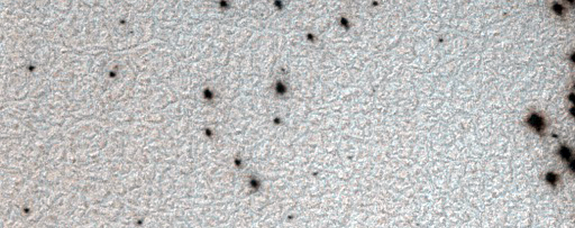 Sample of Possible Spider Terrain
