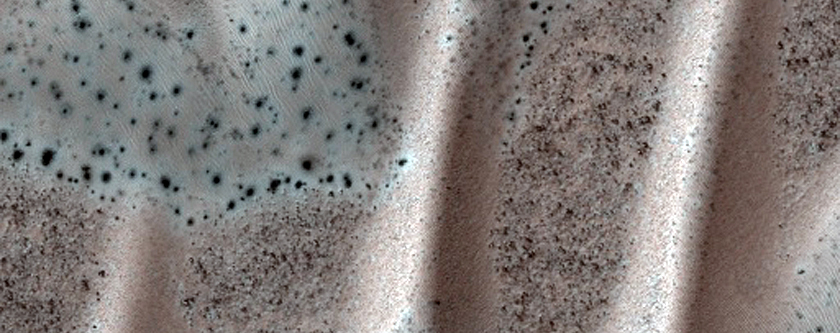 Monitor Frost on Dunes
