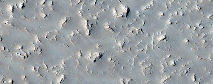 Daedalia Planum Flow Margin
