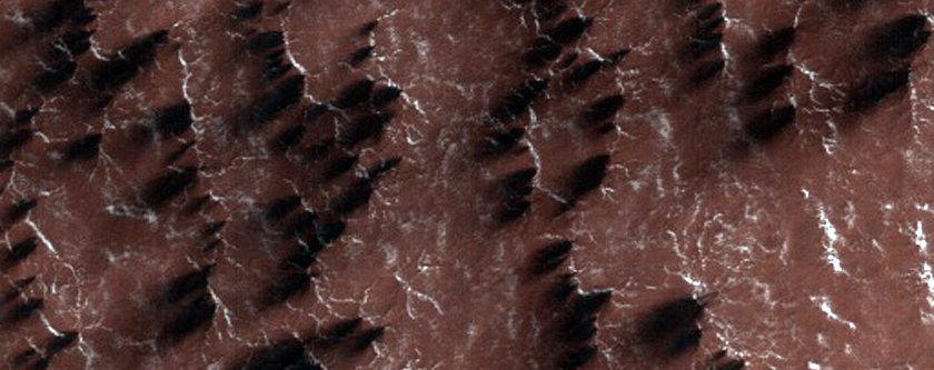 Cryptic Terrain
