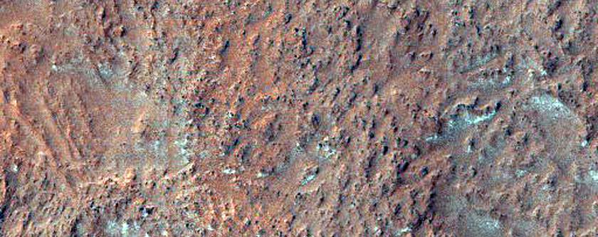 Gullies in Hellas Planitia
