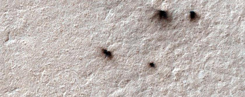 Spiders on Ejecta Blankets
