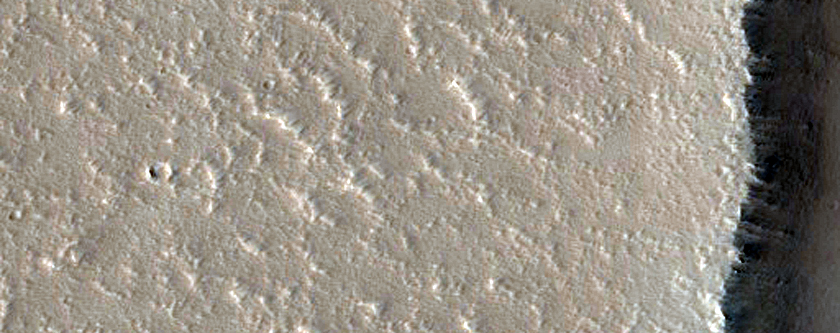 Fractures and Pits
