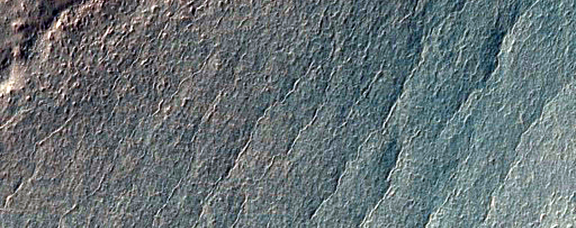 Mid-Latitude Terrain Sample
