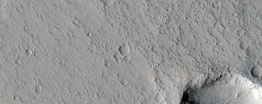 Lava Margin in Amazonis Planitia

