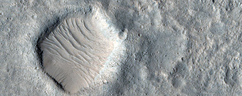 Candidate Landing Site for 2020 Mission Site in Hypanis Valles
