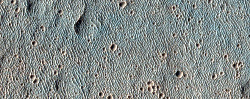 Possible Olivine-Rich Terrain in Peta Crater
