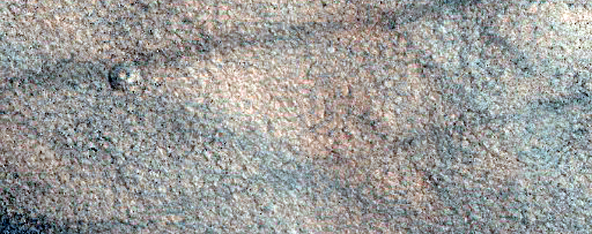 Northern Plains Terrain Sample
