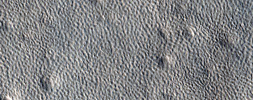 Arcadia Planitia Terrain
