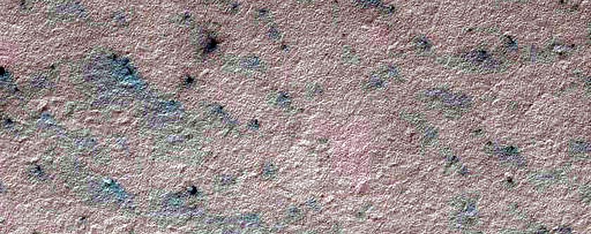 Spiders in Polar Layer Deposits Monitoring
