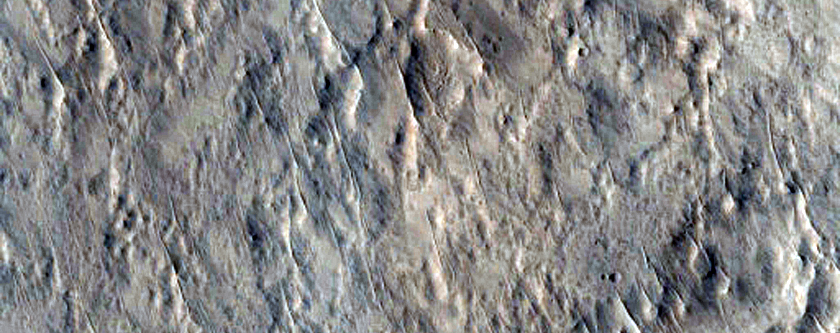 Candidate 2020 Landing Site in Firsoff Crater
