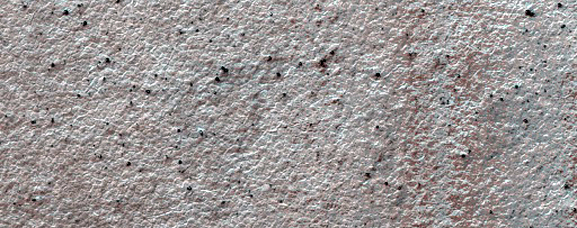 Sample for Polygonal Patterned Ground
