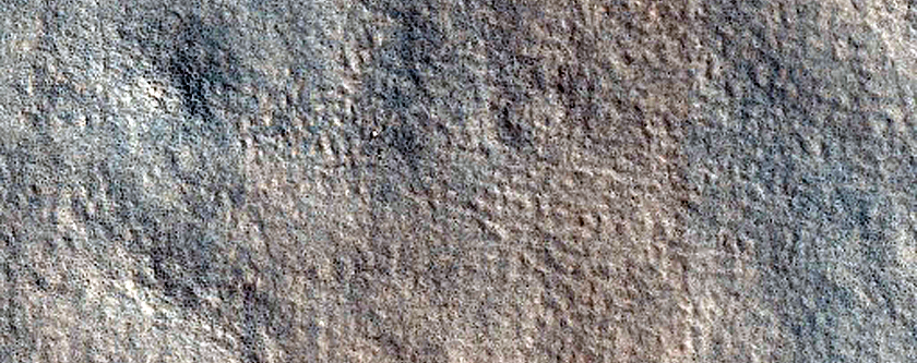 Thumbprint Terrain Sample
