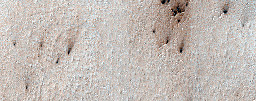 Spiders on Ejecta Blanket

