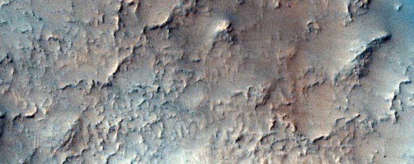 Small Dome and Barchan Dunes in Newton Crater
