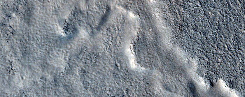 Utopia Planitia

