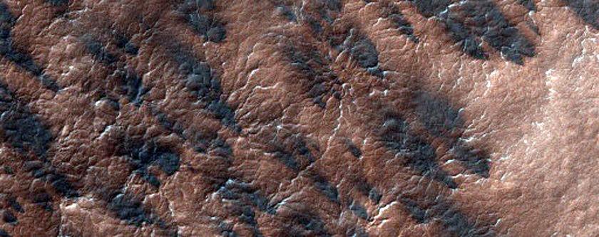 South Polar Region Dubbed Oswego
