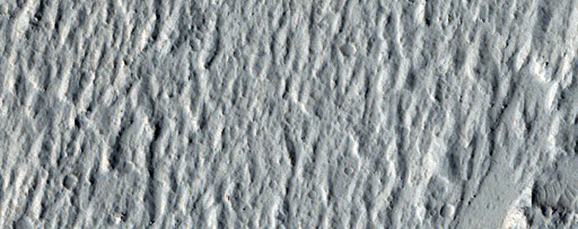 Lava Crust and Wakes in Amazonis Planitia
