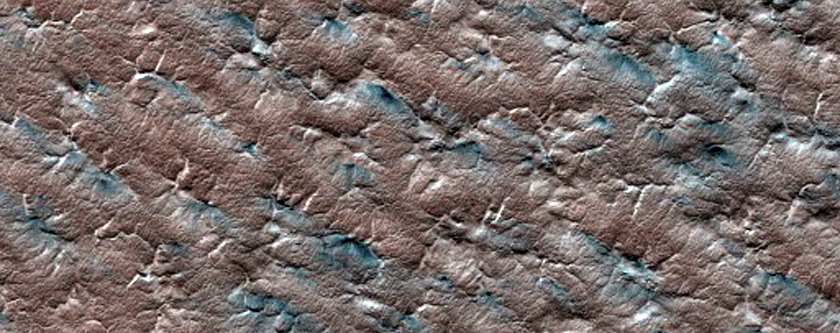 Caterpillar Dune Region
