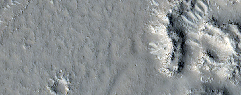 Utopia Planitia
