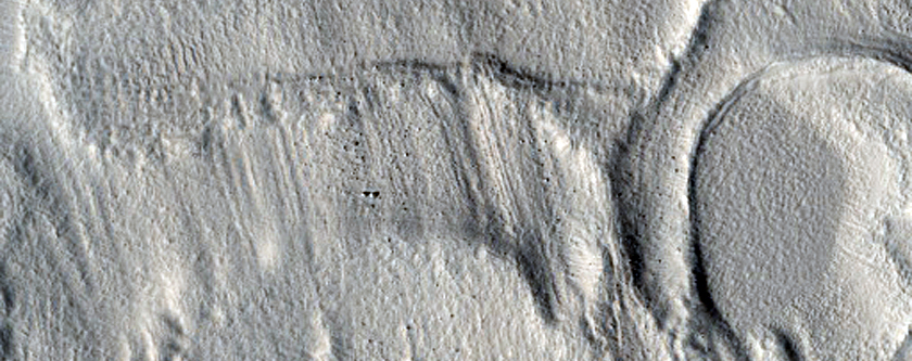 Mantled Crater in Arcadia Planitia
