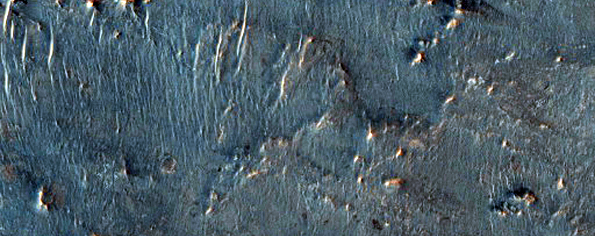 Candidate Landing Site for 2020 Mission at Nili Fossae
