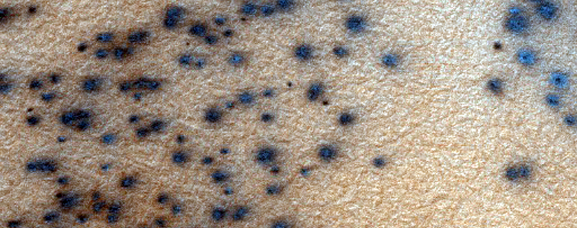 Sample of Possible Spider Terrain
