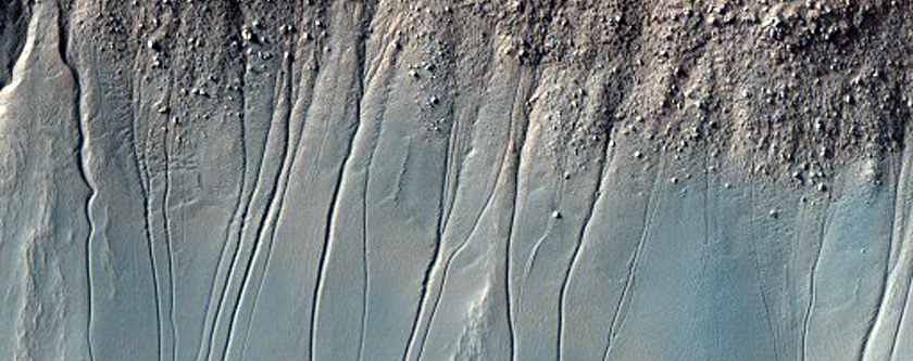 Frosted Gullies
